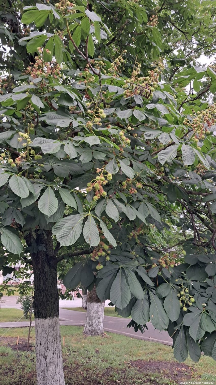 Тула. Утро воскресенья — Туризм и путешествия: фотоотчеты из поездок (фото 10)