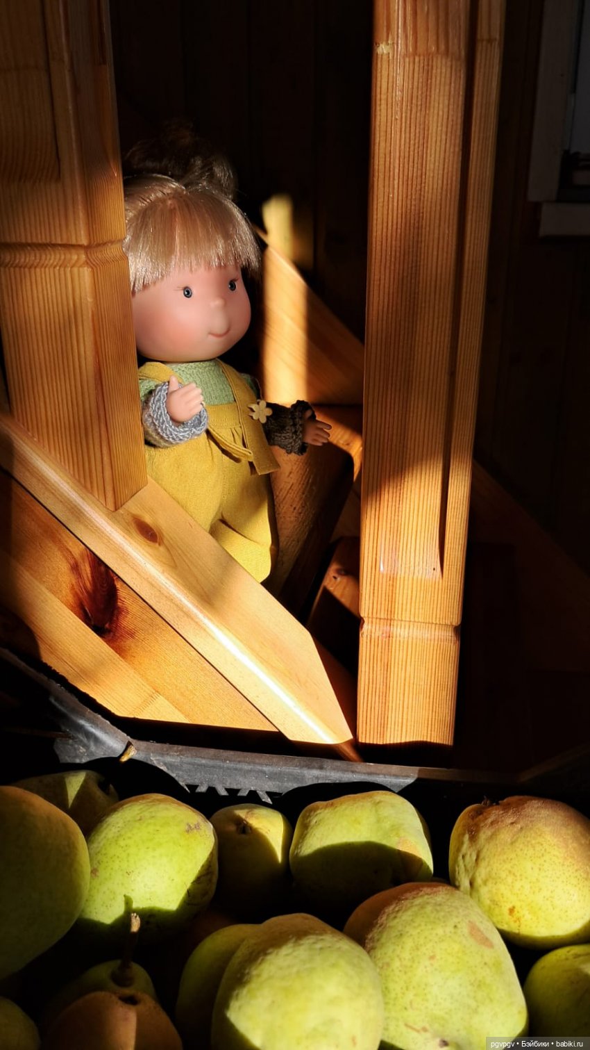 Дачная осень — Куклы Nines d'Onil (Нинес): Миа (Mia) (фото 9)