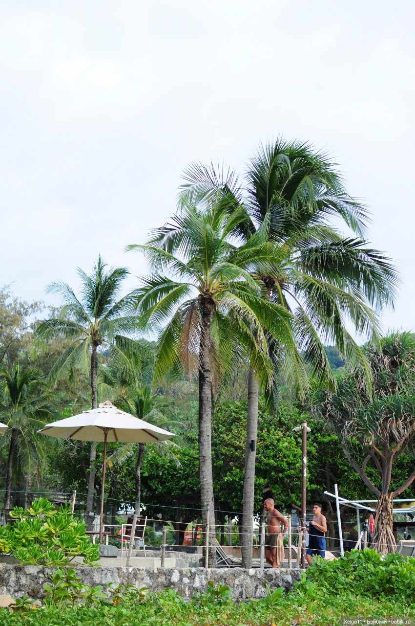 Holala Peter в Тайланде — Куклы Holala (Холала) от Jenny Fairytown: Pipita