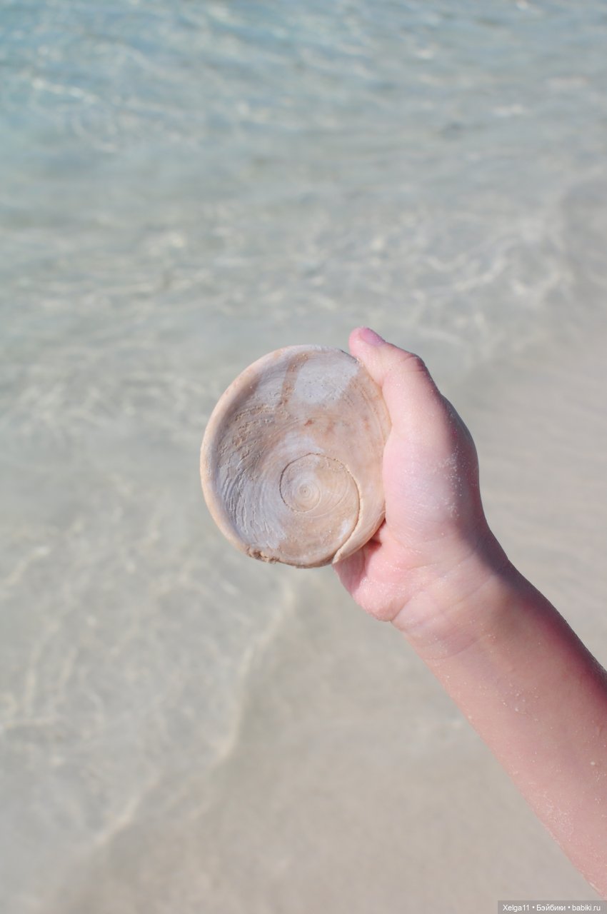 Holala Peter в Тайланде — Куклы Holala (Холала) от Jenny Fairytown: Pipita