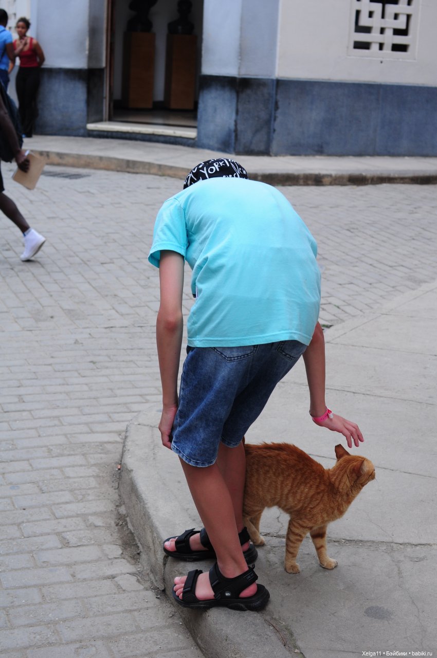 Отпуск с Pututu и Holala Chico на Кубе