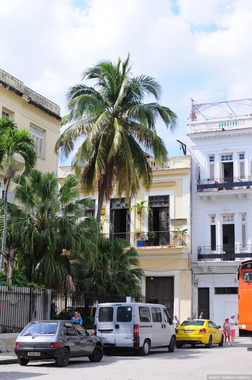 Отпуск с Pututu и Holala Chico на Кубе