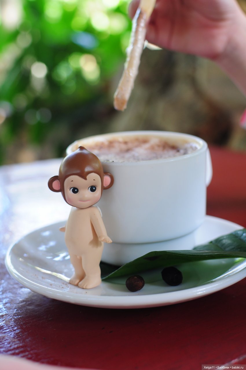 Отпуск с Pututu и Holala Chico на Кубе