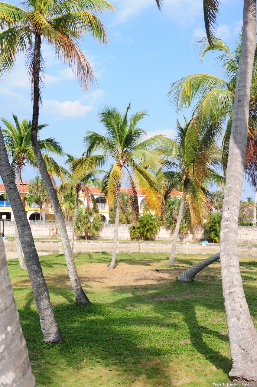 Отпуск с Pututu и Holala Chico на Кубе