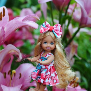 Немного о малышках Келли