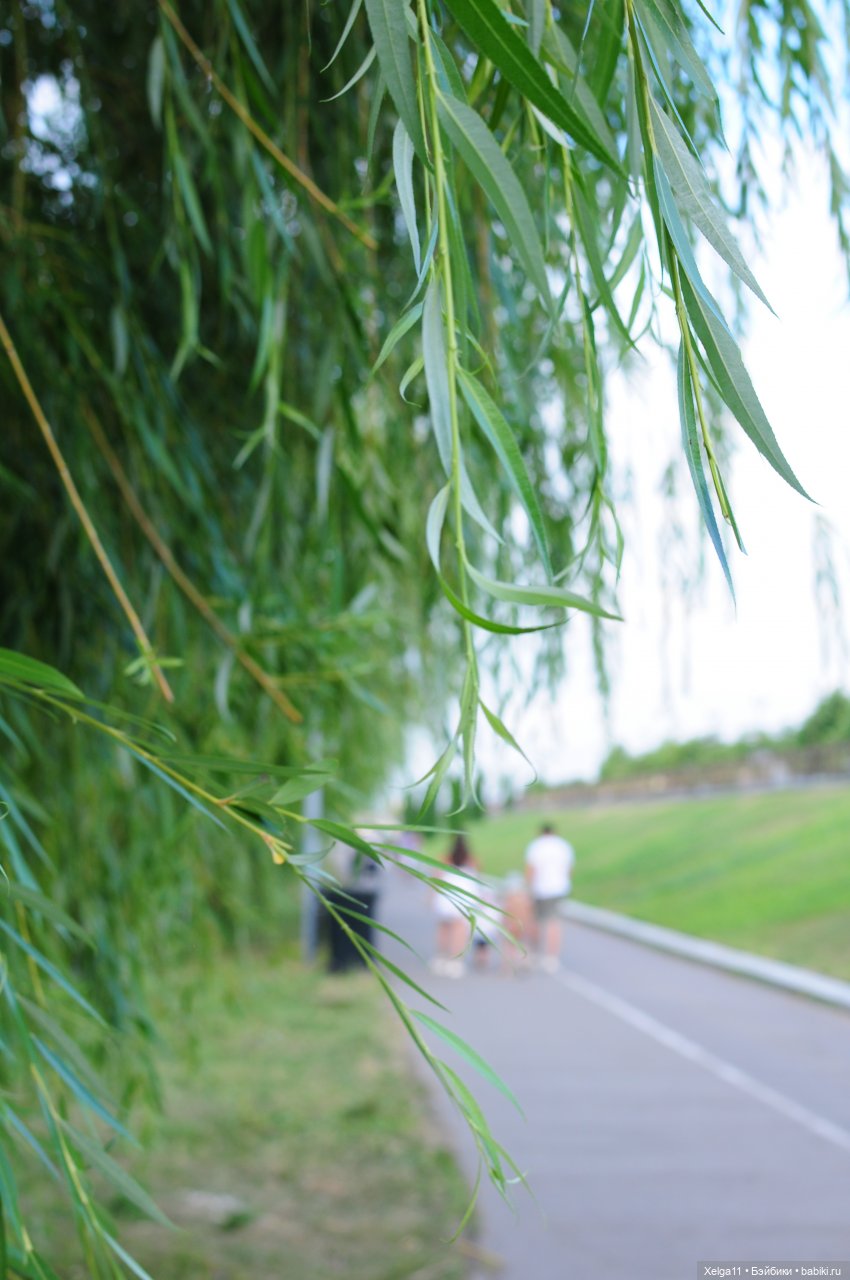 Вечерняя прогулка с Pututu