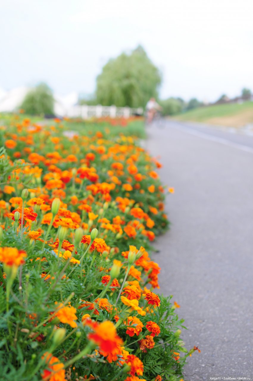 Вечерняя прогулка с Pututu (фото 4)
