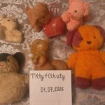 Лот мягких игрушек,цена  все.