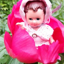 Несколько моих кукольно—цветочных зарисовок