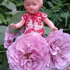 Прогулка по розовому саду