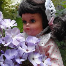 Немного летних красок в зимний день