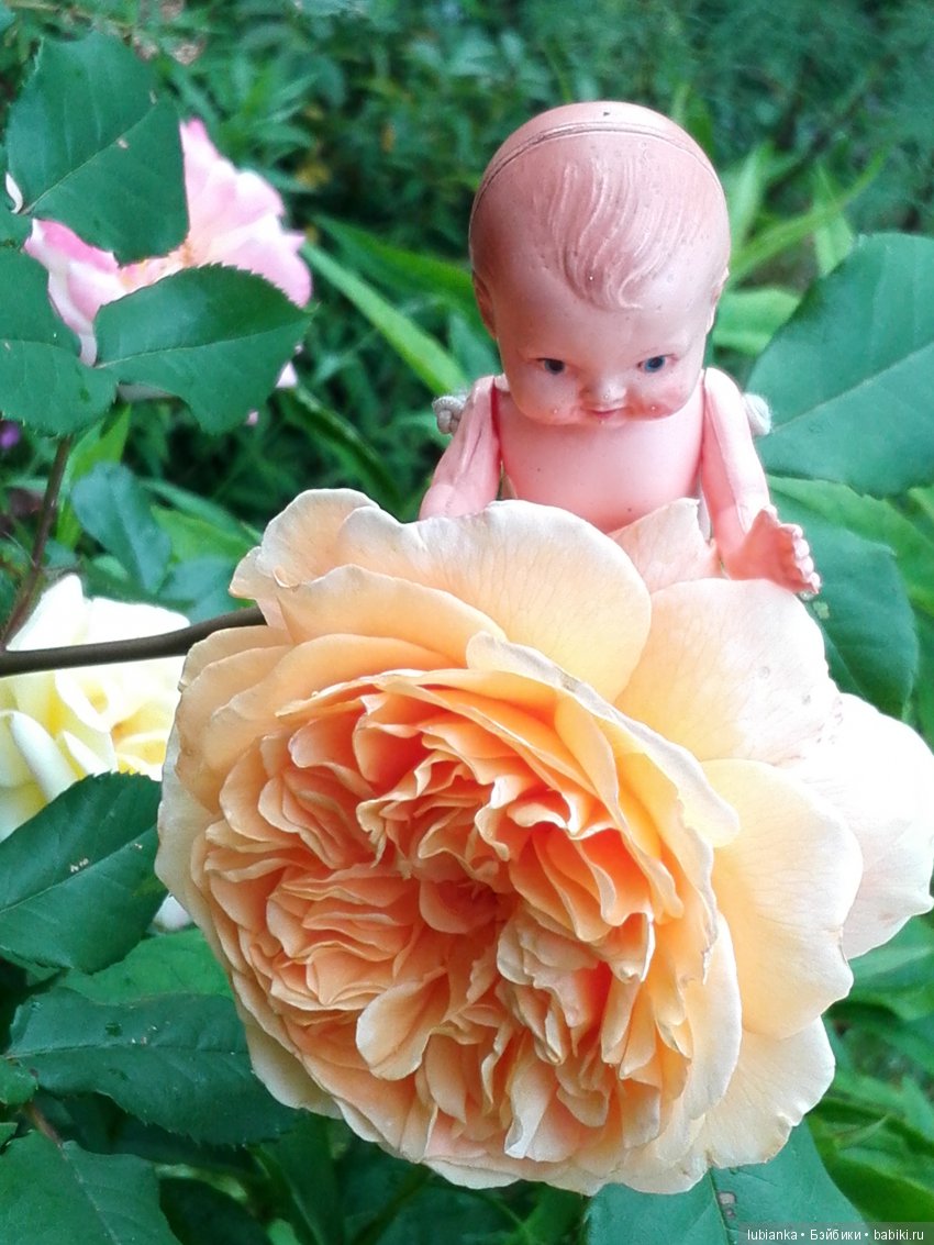 Роскошные :-) Всегда ВСЕ неповторимые)