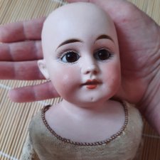 Курносенькая лопоушка-лапушка, кто же ты?