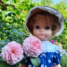 Пока ещё светит солнце🌞🌝