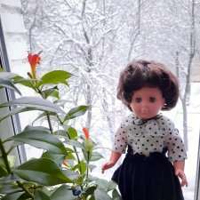 Обновки почти новой француженки