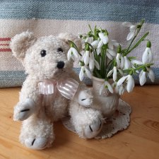 Ещё один лакомый кусочек весны🌱💮🌞