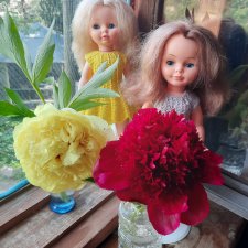 Жёлтое и красное💛❤