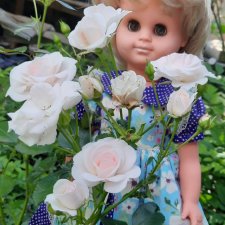 Сегодня с розами Розелла💖💃🌹🥀