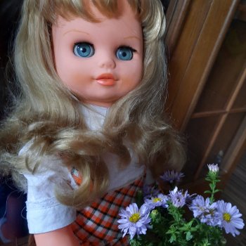 Ох уж эти ГэДээРки...