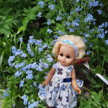 Эльза и незабудковое счастье моё💙🦋