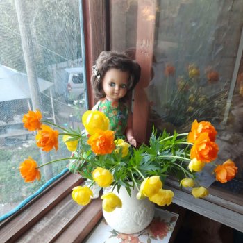 Начало цветочного лета🌞🌸🍀🌷🌼