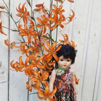 Летнее разноцветное💚💙💜🧡❤💛🤍