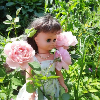 Камелия гуляет по саду