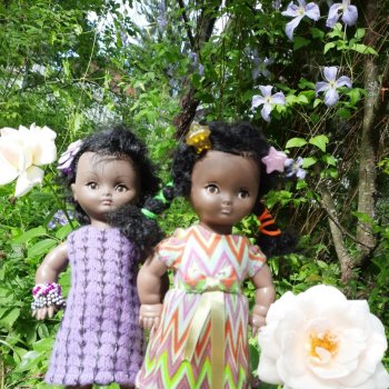 Неразлучницы