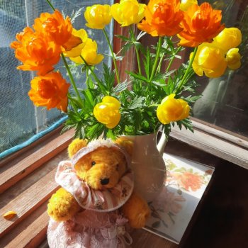 Был месяц май...🌷🌱🦋🌞