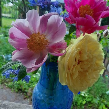 "Июнь...кудрявый и весёлый...во всё цветущее влюблённый"