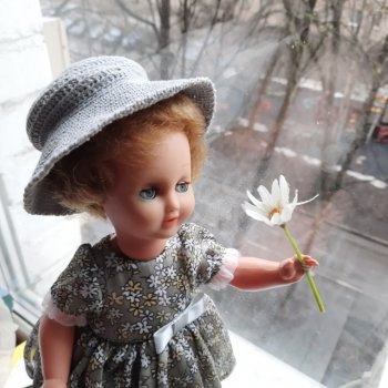 Уже так хочется ромашек🌼🌱