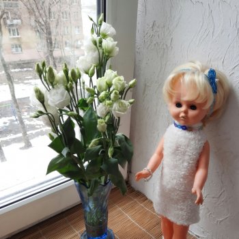 Бело-синее моё кукольно-цветочное🤍💙