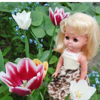 Майская моя Злата 💛