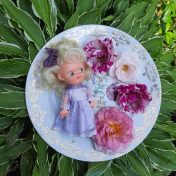 Дачный найдёныш