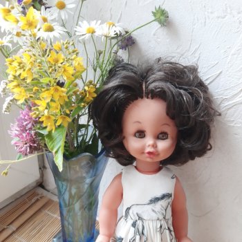 Новая чужестранка