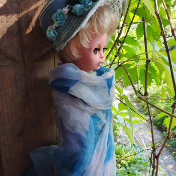 О чём грустишь,сердитка?...💚💙