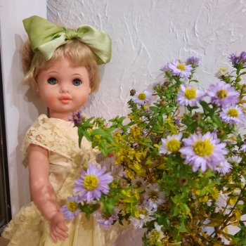 Звёздочка с изюминкой🤩🌟🍇