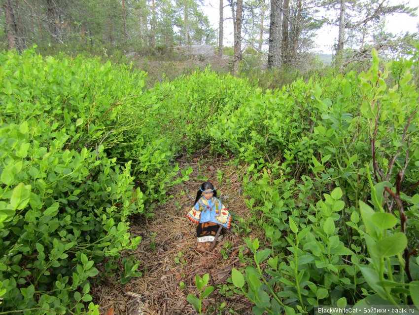 Josefina mini American Girl в Карелии