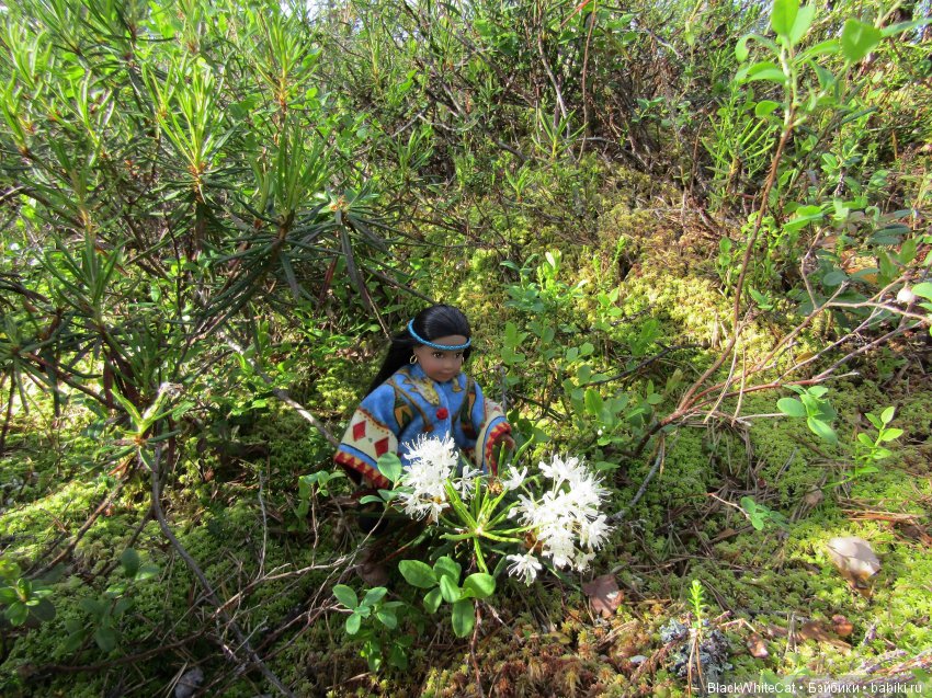 Josefina mini American Girl в Карелии