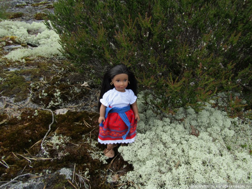 Josefina mini American Girl в Карелии (фото 3)