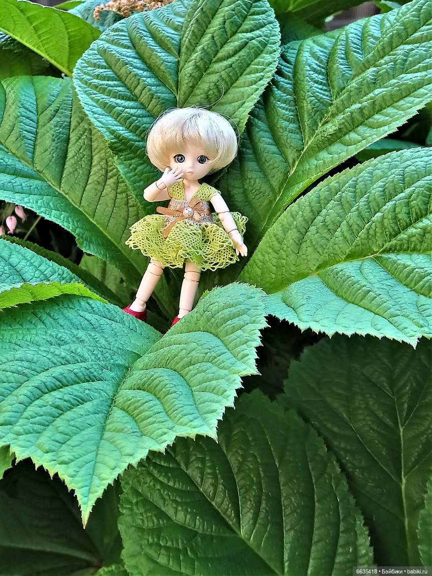 Эльфийка КУЭ в летнем саду