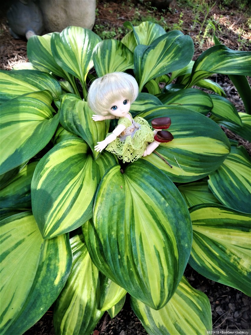 Эльфийка КУЭ в летнем саду