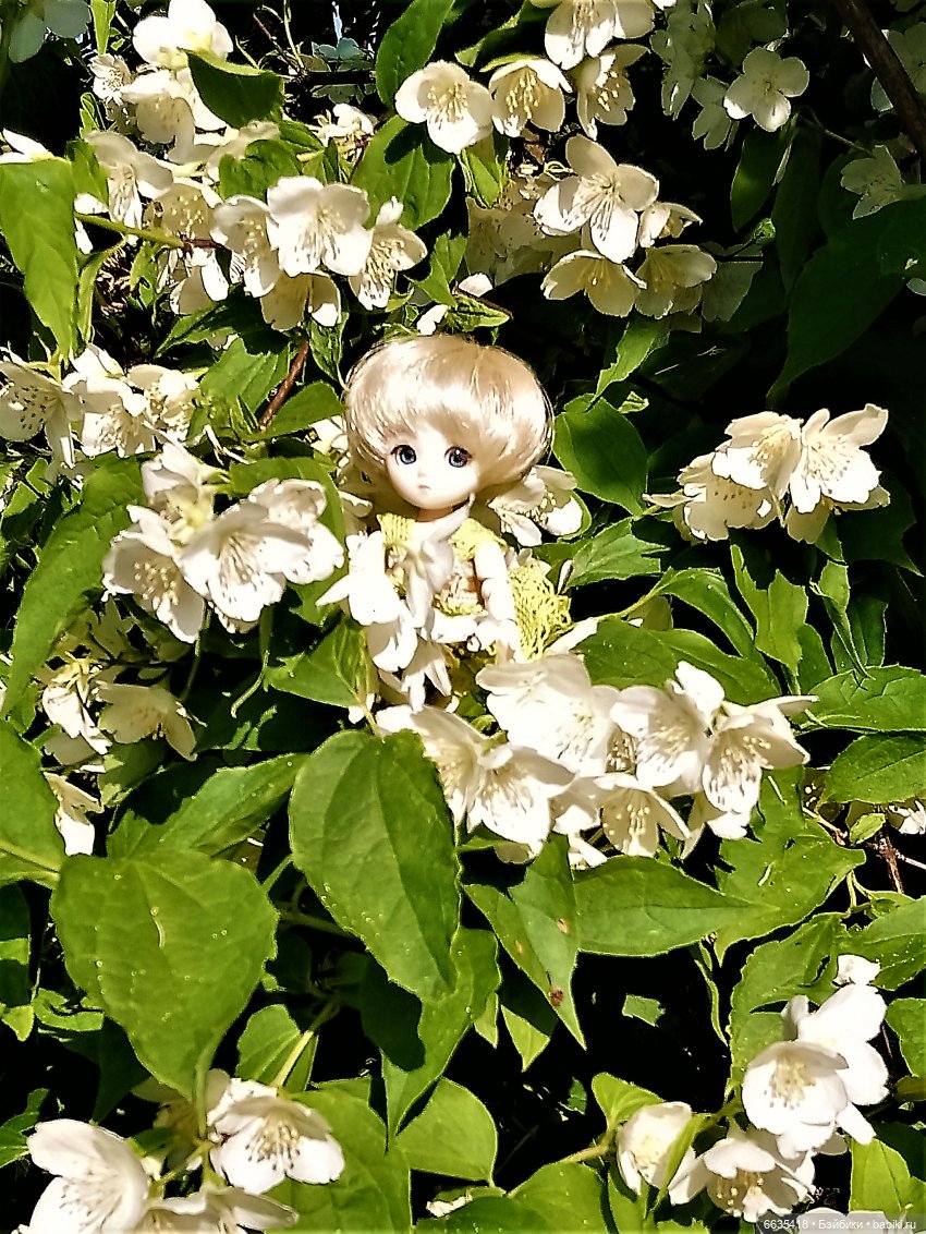 Эльфийка КУЭ в летнем саду (фото 6)