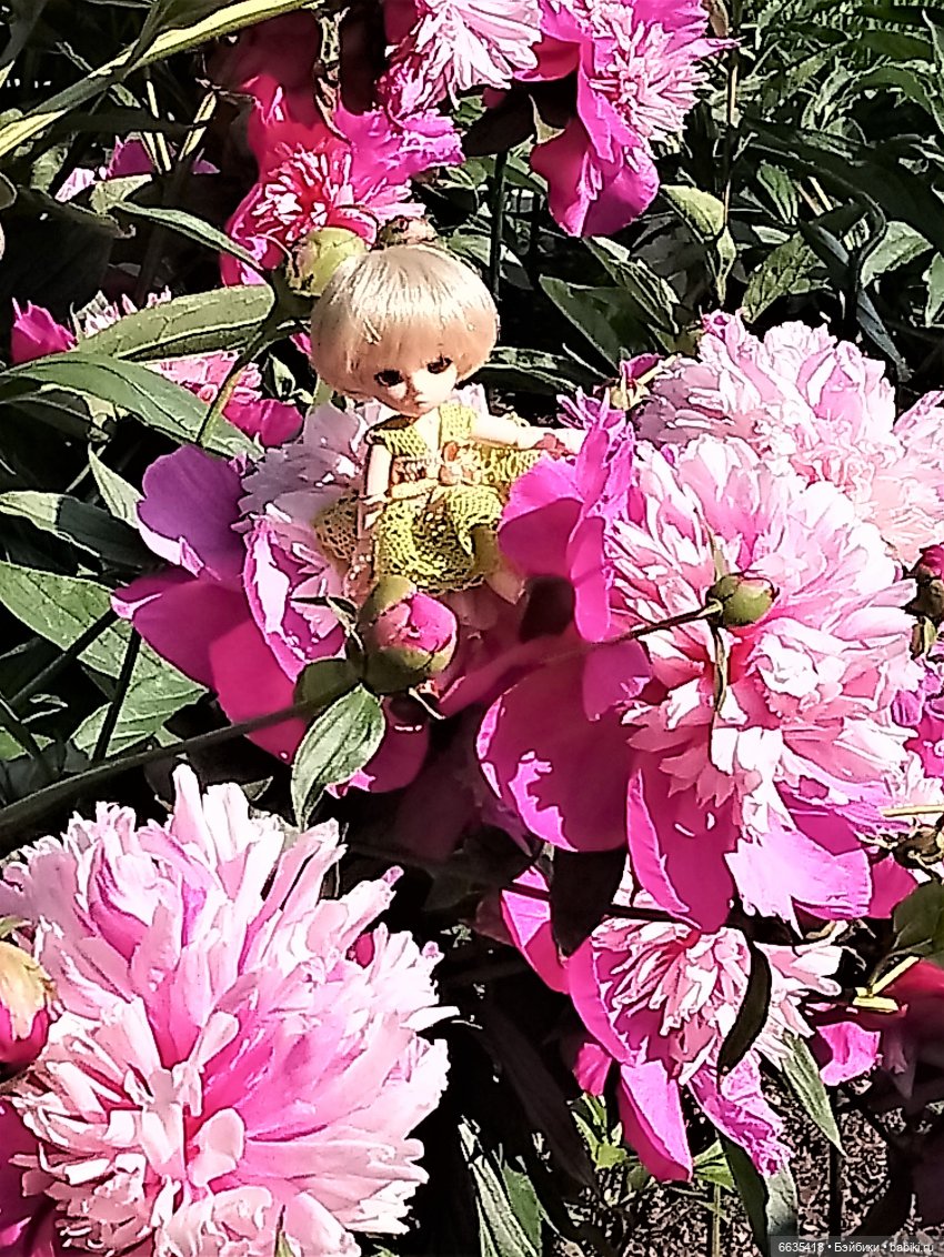 Эльфийка КУЭ в летнем саду (фото 8)