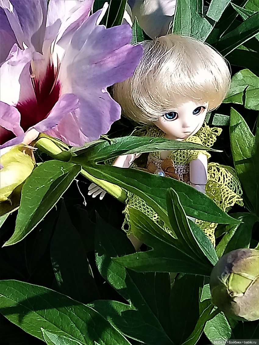 Эльфийка КУЭ в летнем саду