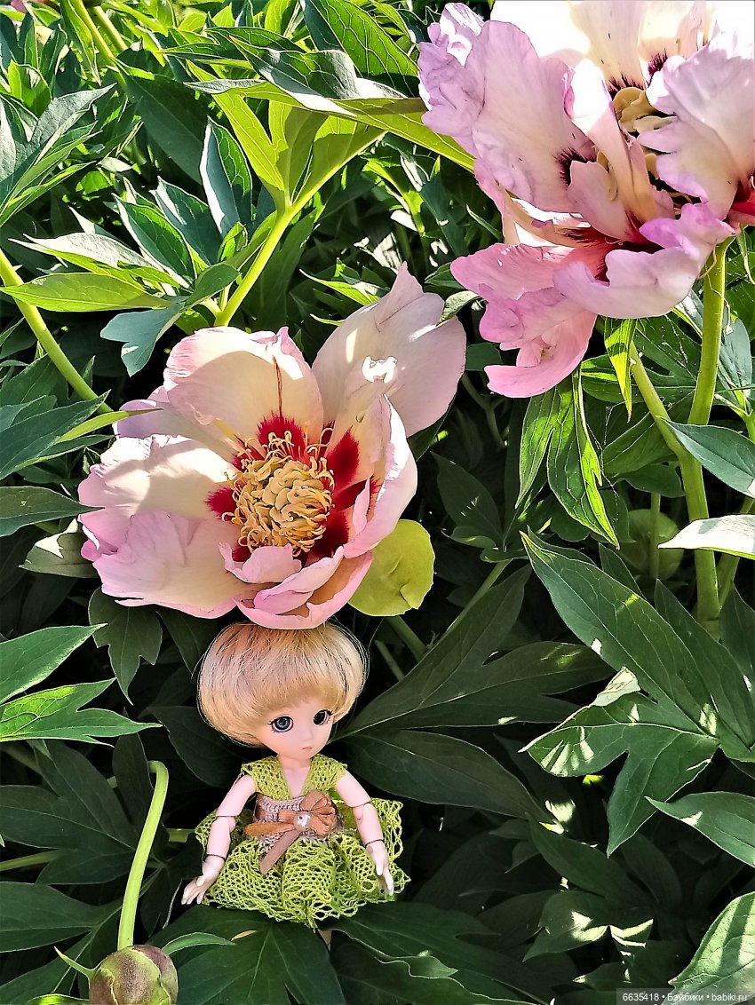 Эльфийка КУЭ в летнем саду