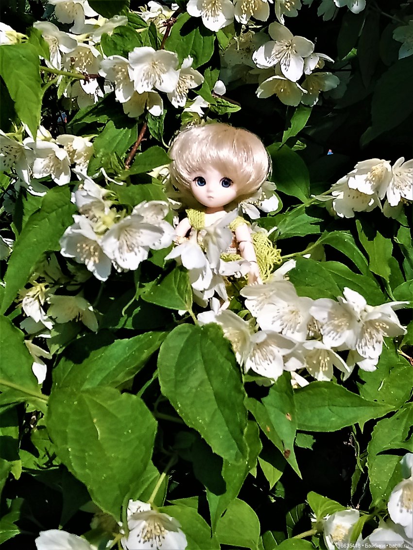 Эльфийка КУЭ в летнем саду (фото 7)