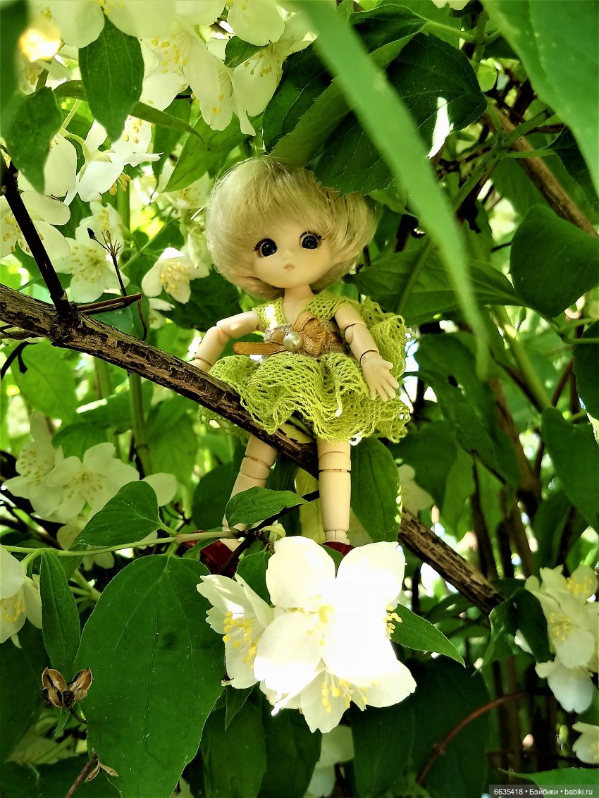 Эльфийка КУЭ в летнем саду (фото 4)