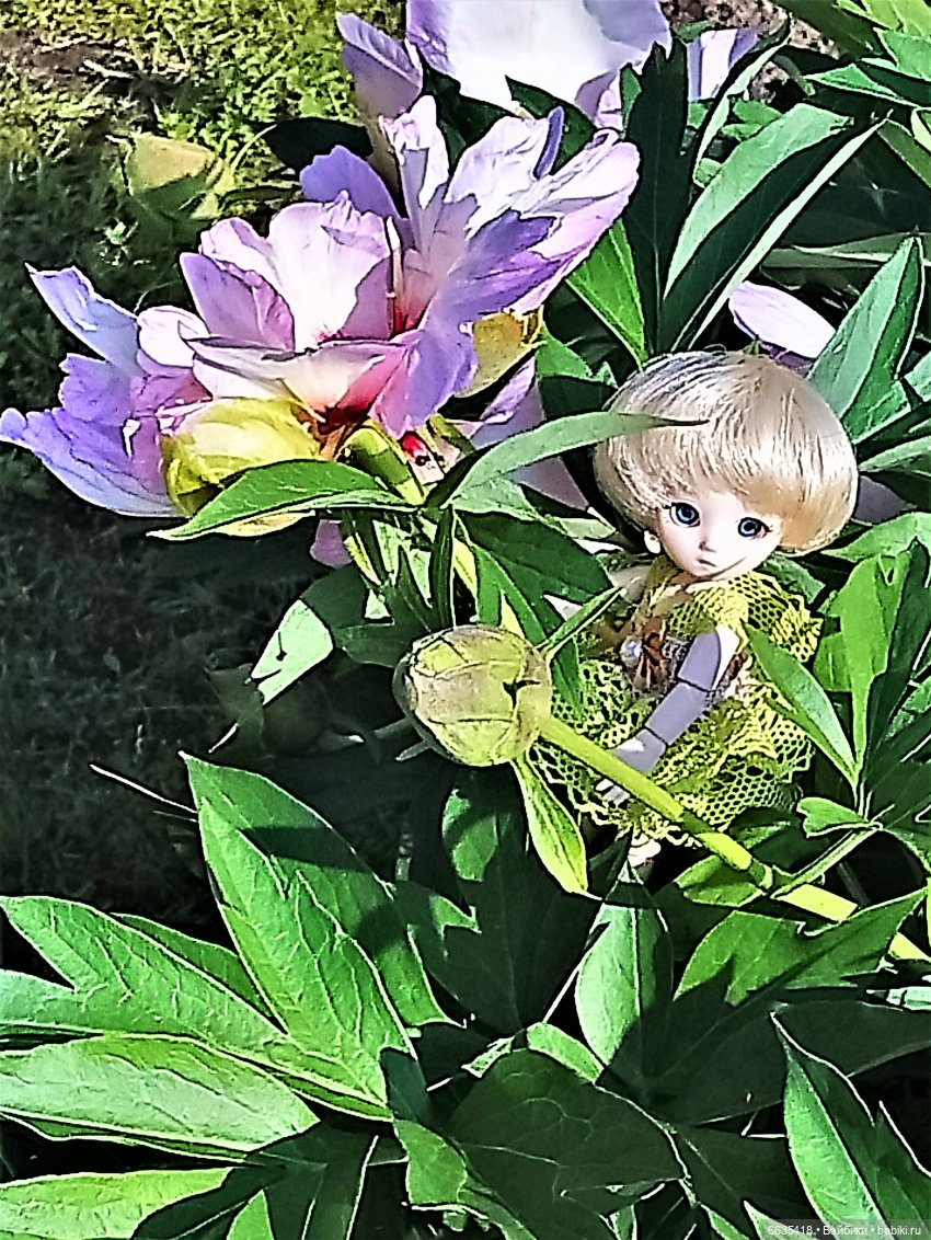 Эльфийка КУЭ в летнем саду