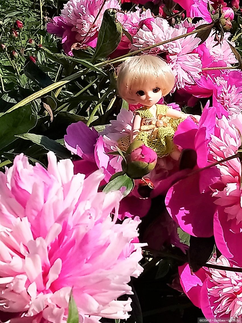 Эльфийка КУЭ в летнем саду (фото 9)